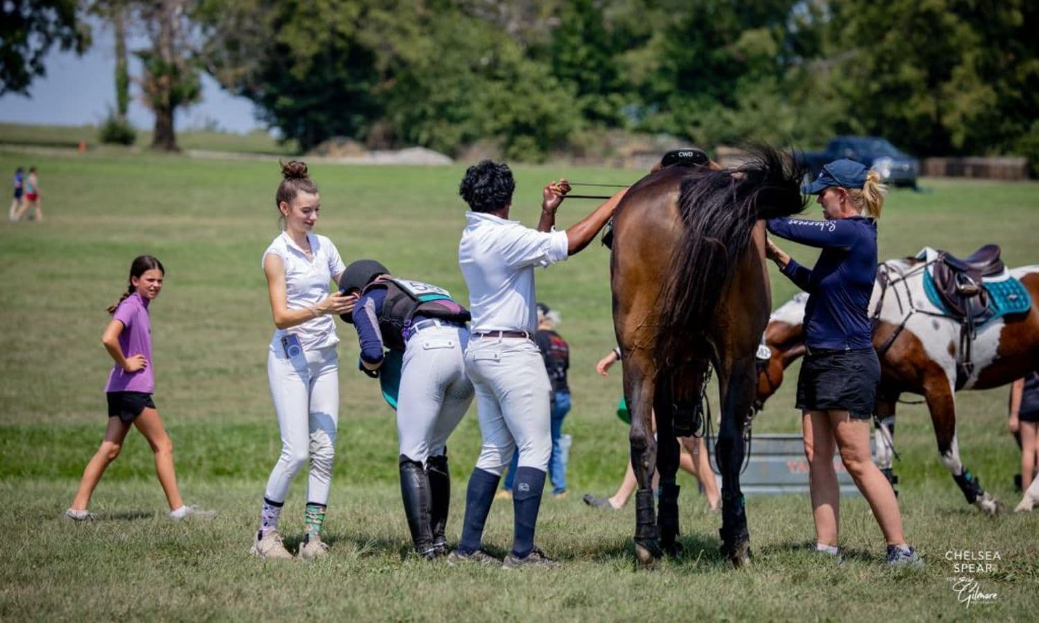 At River Mist Equestrian, the IEL Highlights What’s Already There