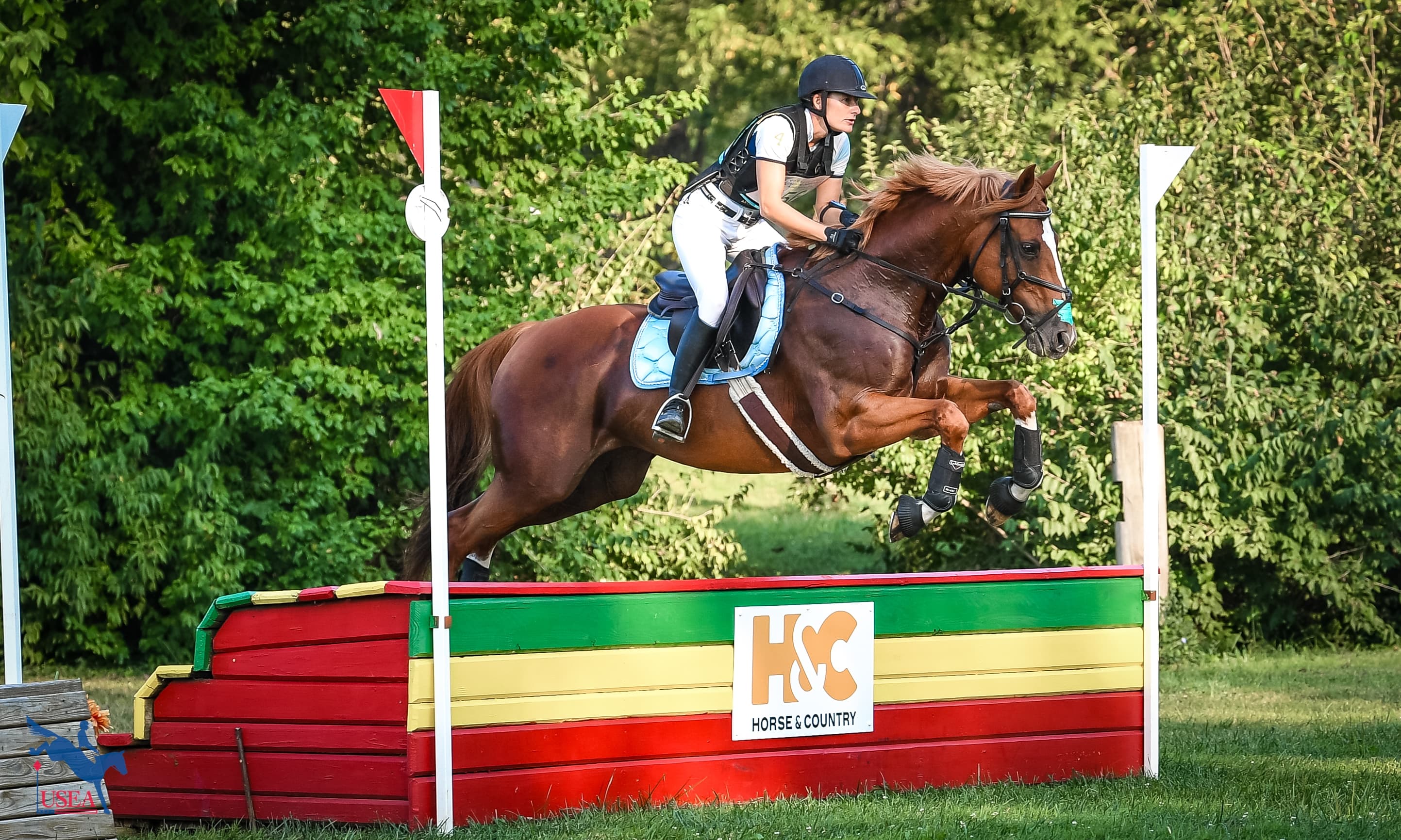 Horse & Country and EquiReel Partner with USEA to Deliver Unparalleled Video Coverage of the 2026 USEA AEC